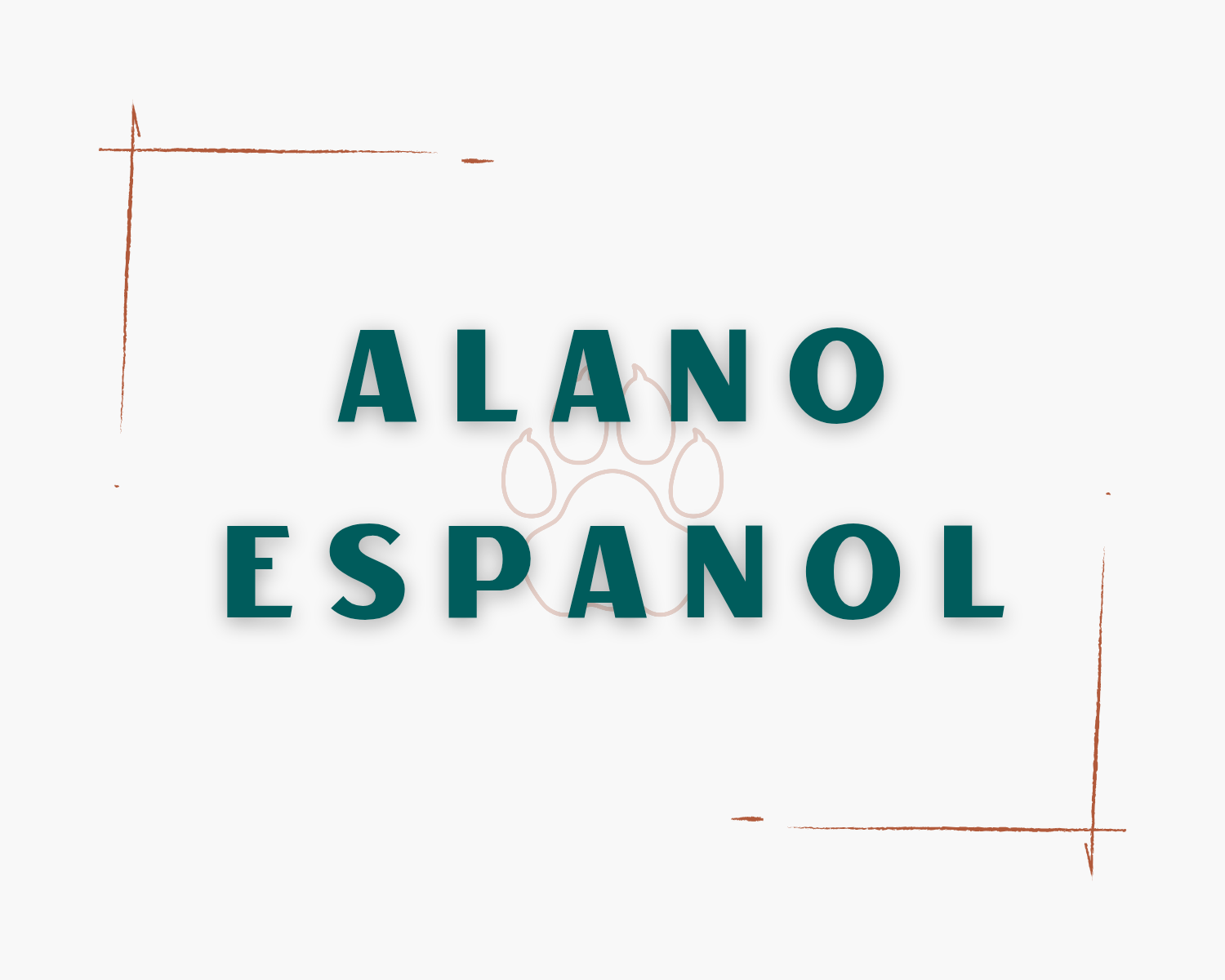 Alano Espanol