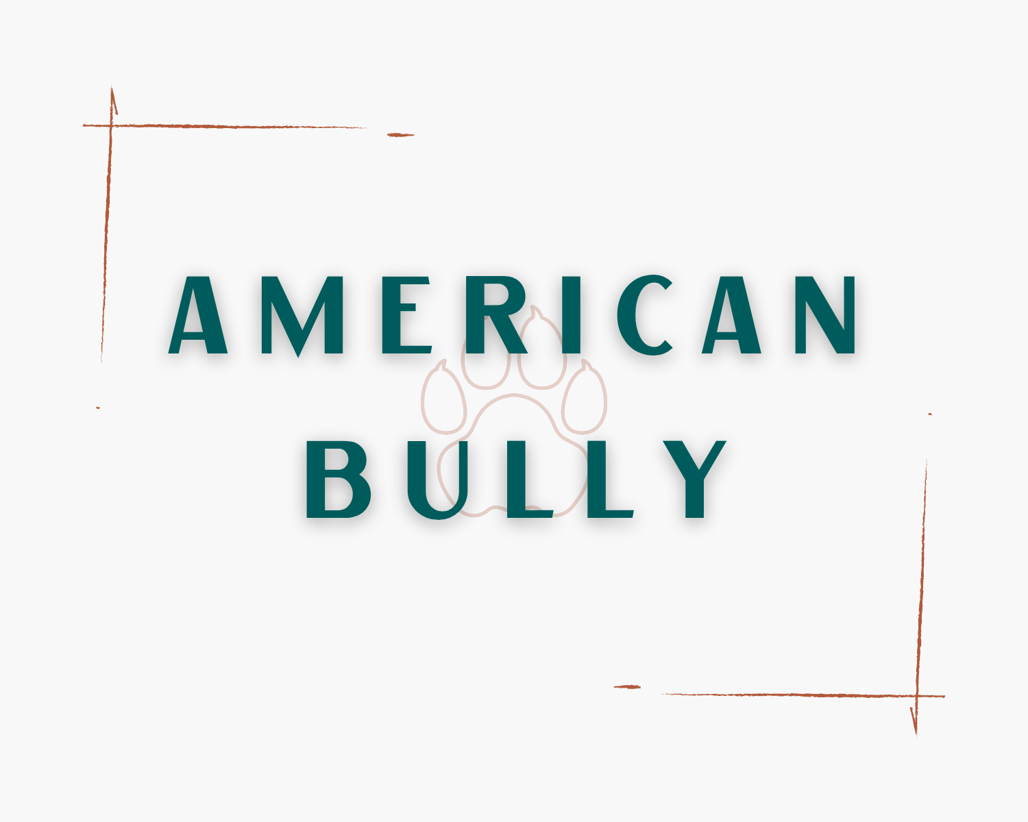 American Bully