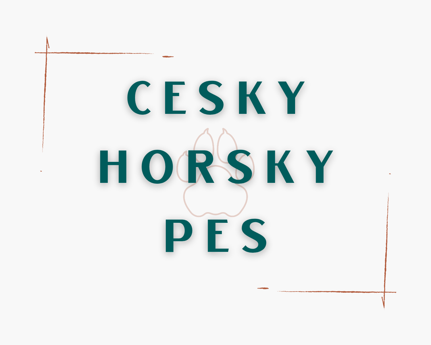 Cesky Horsky Pes