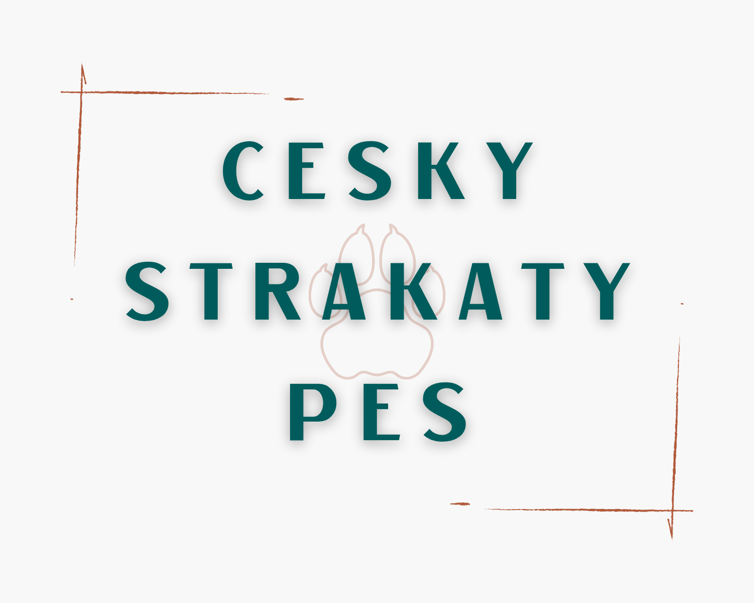 Cesky Strakaty Pes