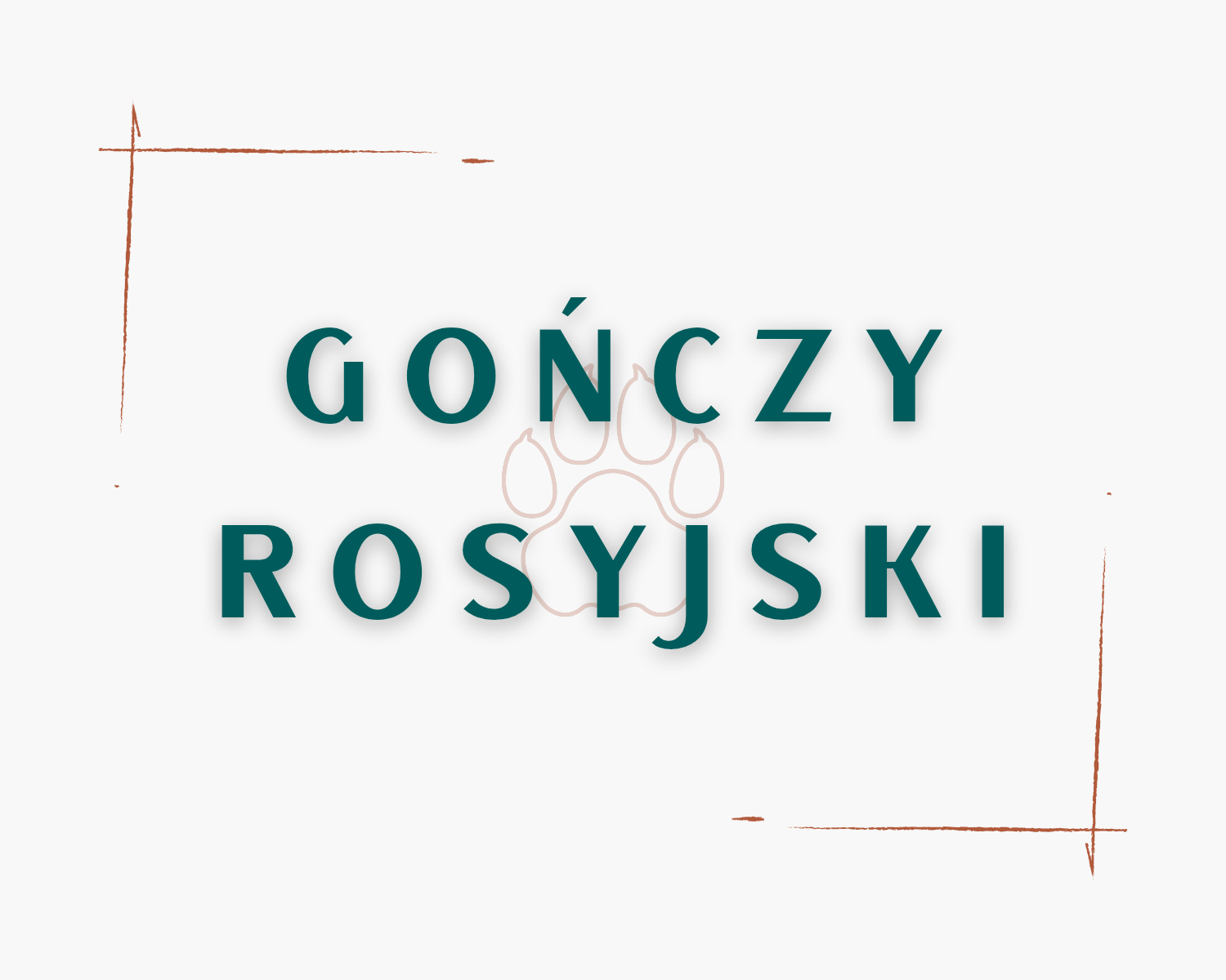 Gończy Rosyjski
