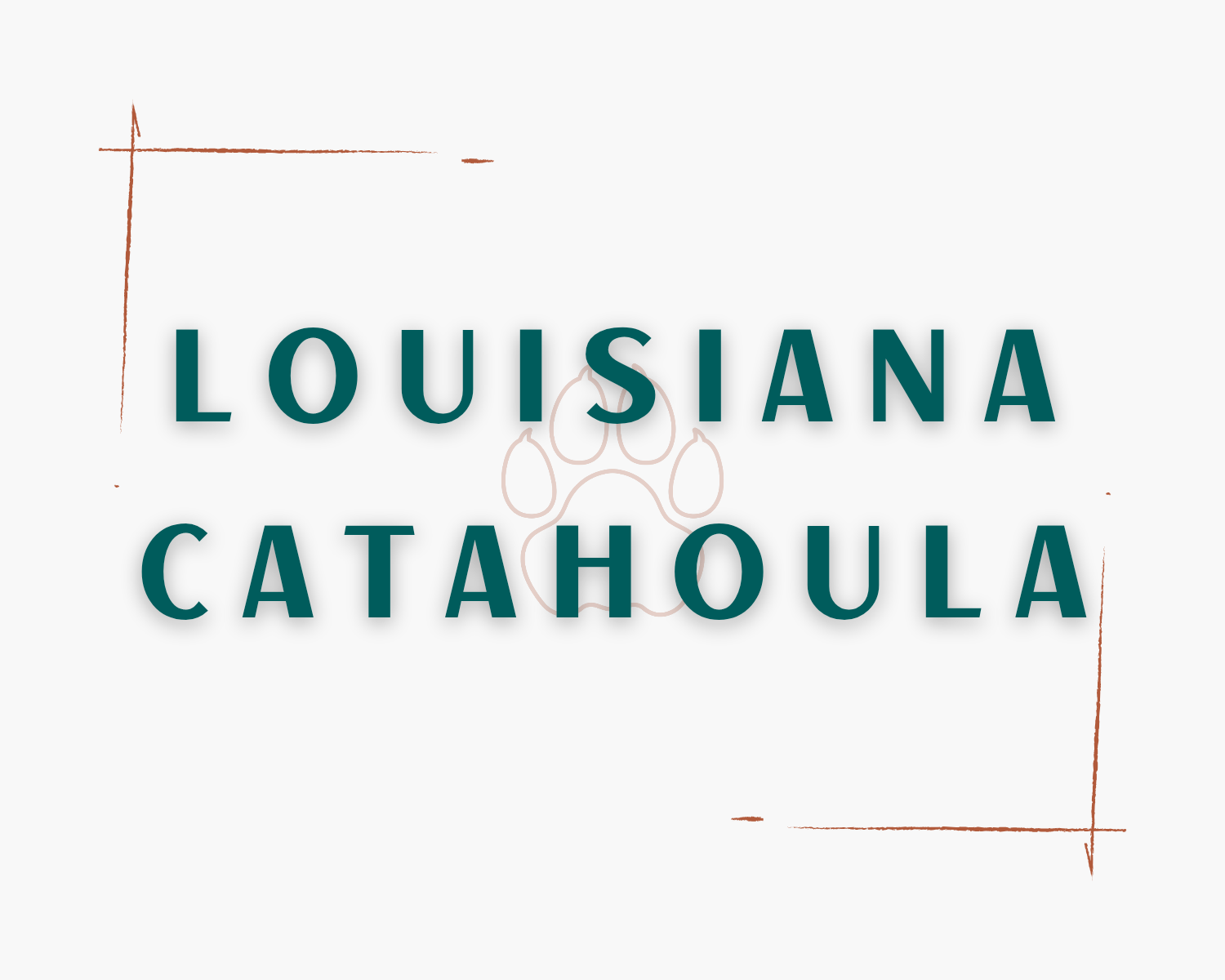 Louisiana Catahoula
