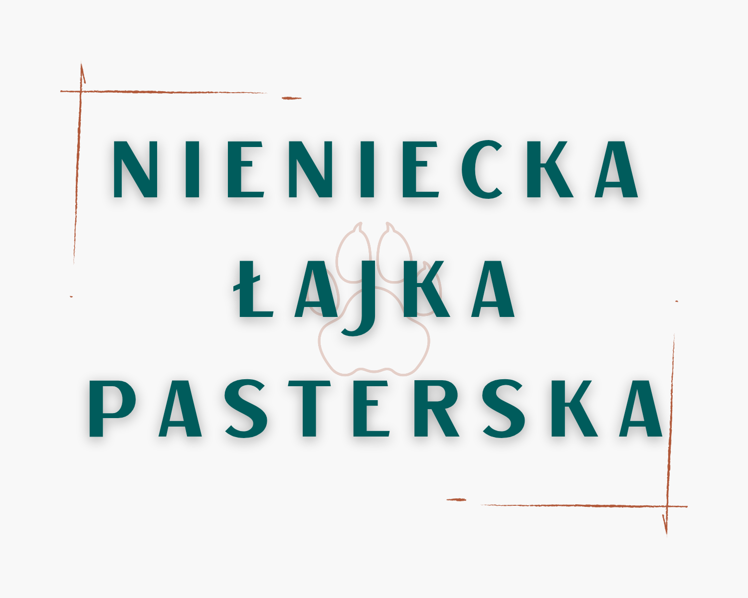 Nieniecka Łajka Pasterska